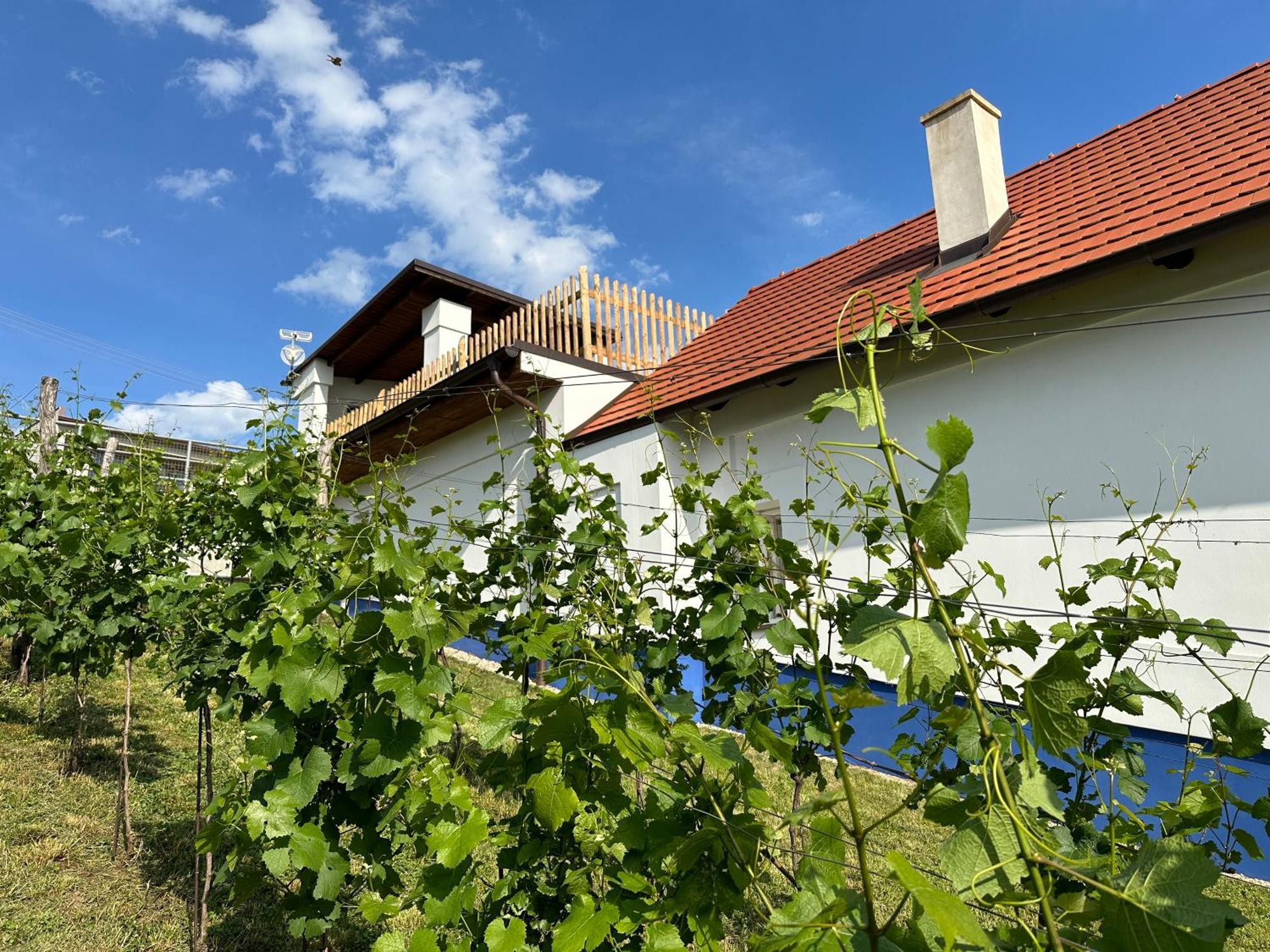 Villa Nad Slovackym Sklipkem à Tupesy Extérieur photo